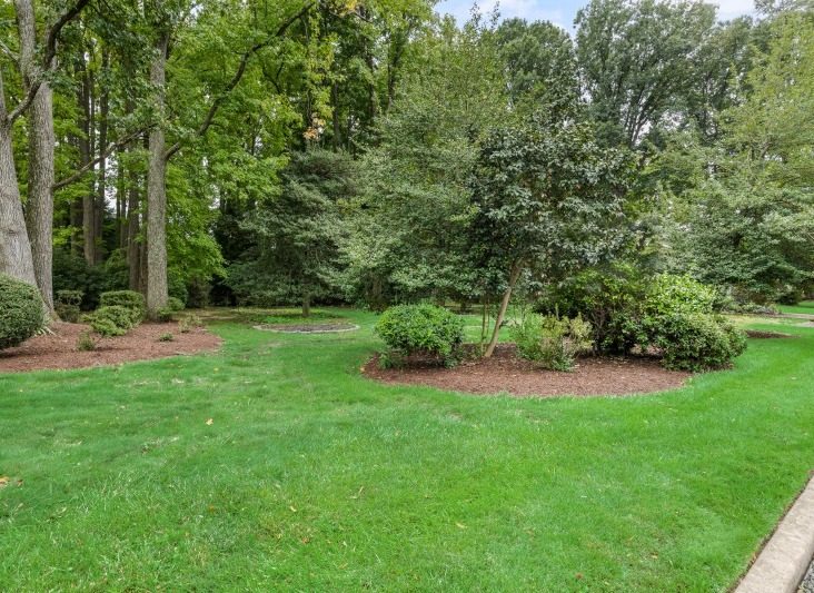 The lot at 804 Fulton Street today